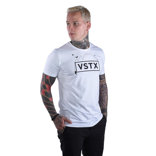 VSTXFISHGALERY (7691006804214)