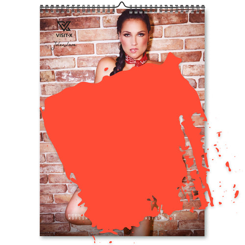 VISIT-X Kalender 2026