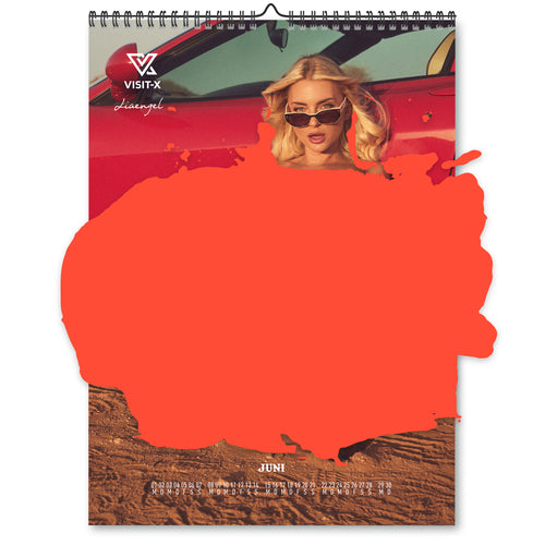 VISIT-X Kalender 2026