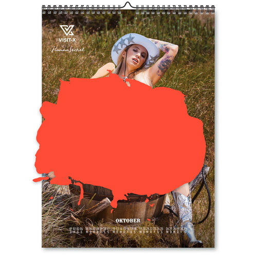 VISIT-X Kalender 2026