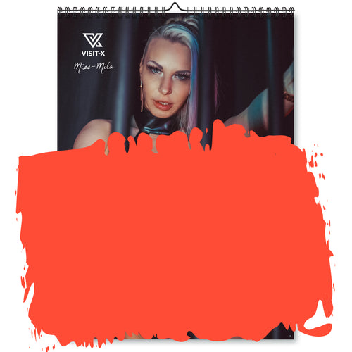 VISIT-X Kalender 2025